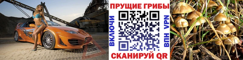Псилоцибиновые грибы мицелий  Сычёвка 